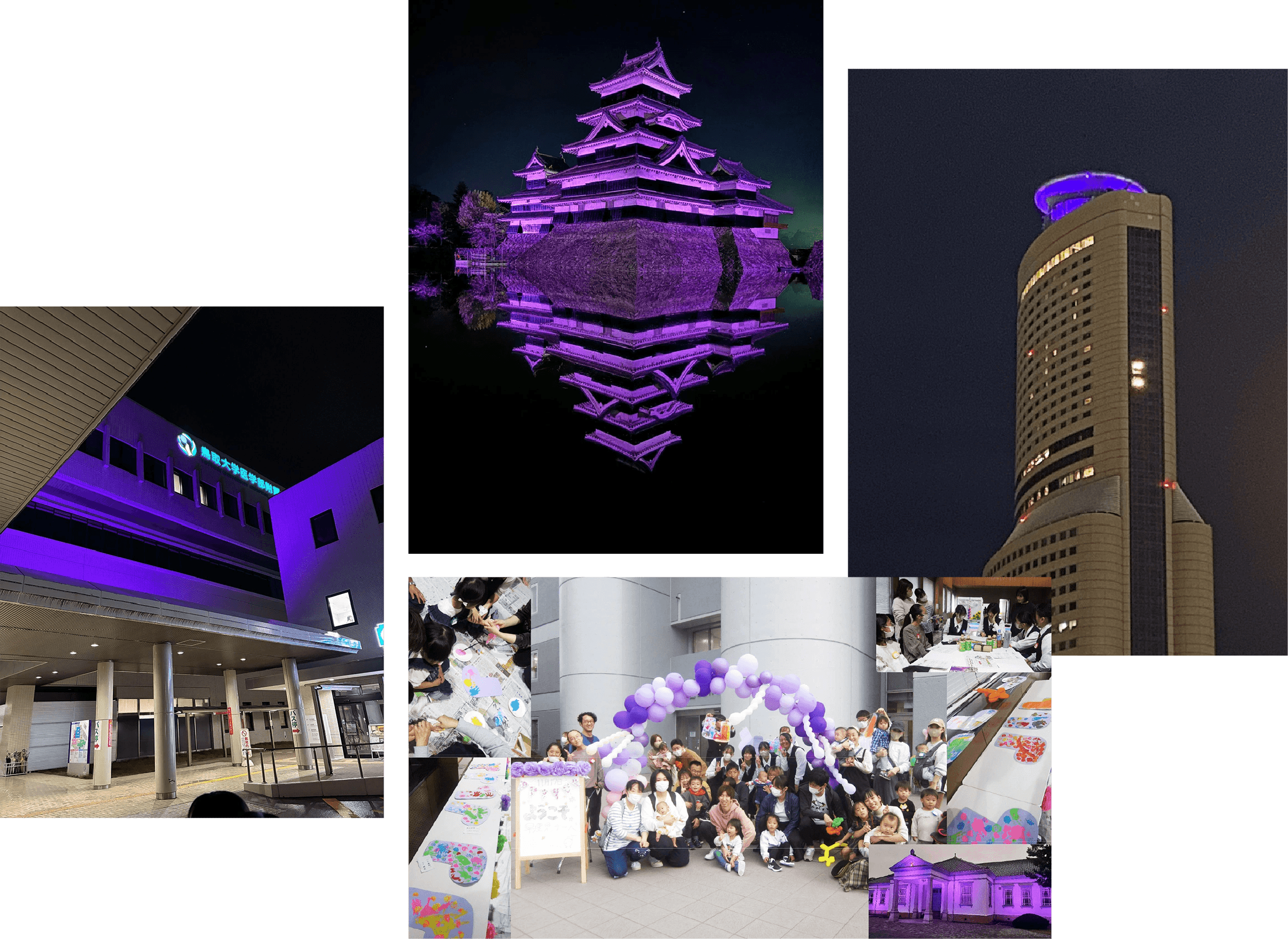 日本での取り組み